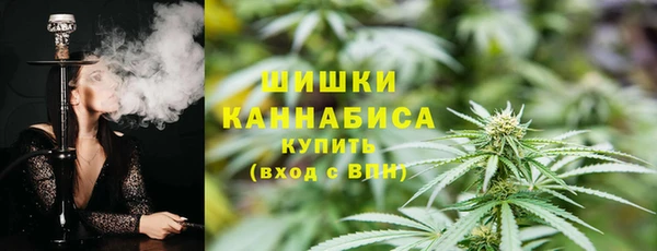 индика Дмитровск